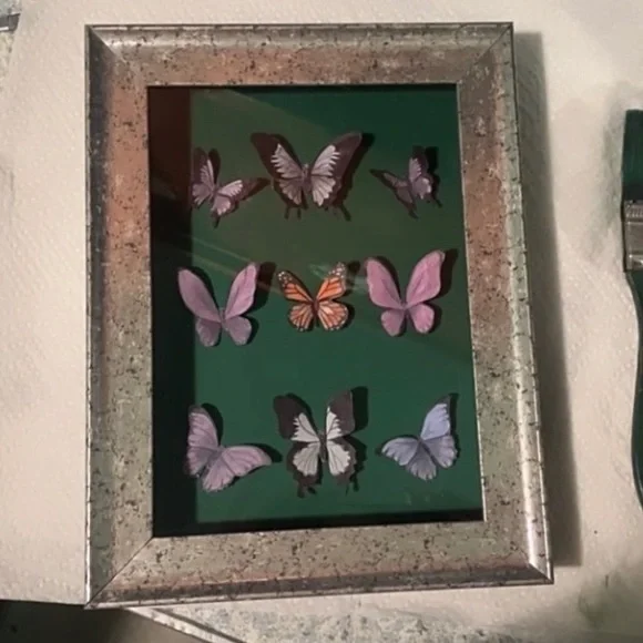 NEW ORIGINAL CUSTOM BUTTERFLY DISPLAY CASE ORDERS - Picture 6 of 6